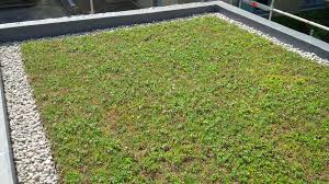3 Benefits of a Green Roof Tray System